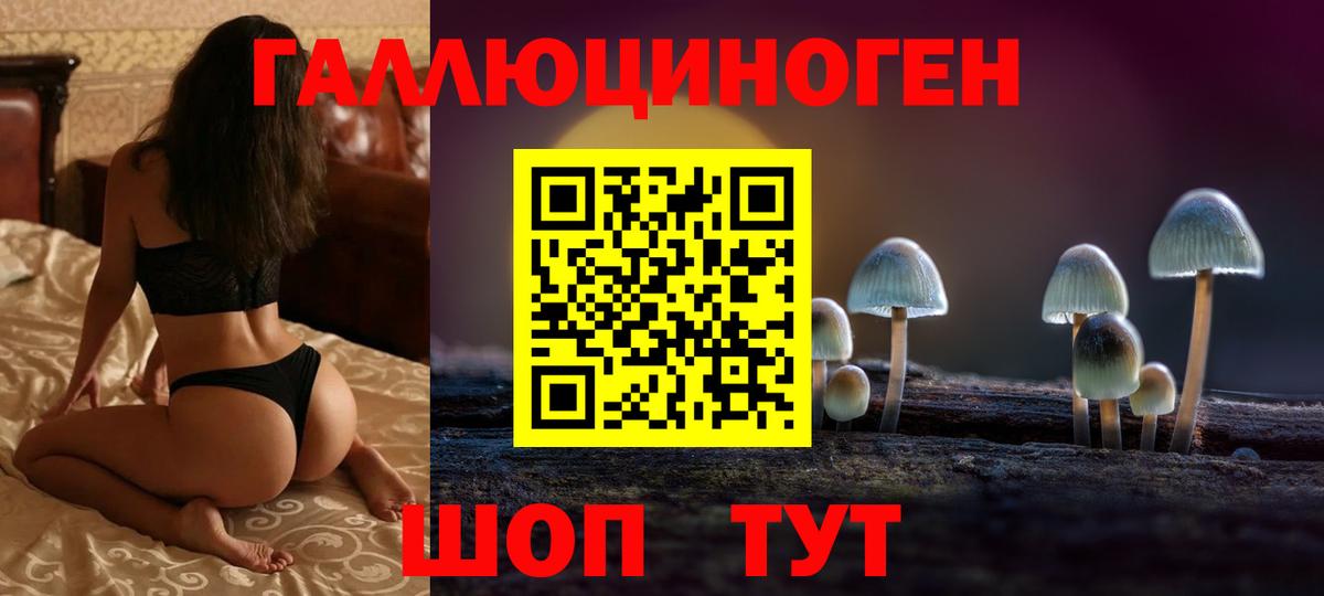 Галлюциногенные грибы мухоморы Кандалакша